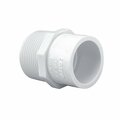 Thrifco Plumbing 1-1/4 Inch Male Thread x Slip PVC Adapter SCH 40 8113184